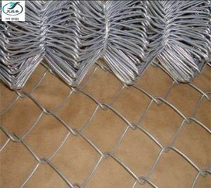 پوری فروخت جستی اور سٹینلیس چین لنک باڑ تار میش